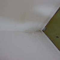 Gutachten für Schimmel / Feuchte / Wasserschäden