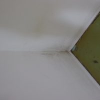Gutachten für Schimmel / Feuchte / Wasserschäden