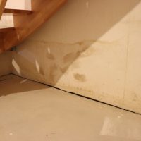 Gutachten für Schimmel / Feuchte / Wasserschäden