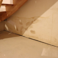 Gutachten für Schimmel / Feuchte / Wasserschäden