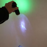 Mit der UV-Lampe Schimmel entdeckt.