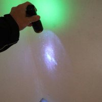 Mit der UV-Lampe Schimmel entdeckt.