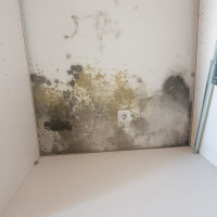 Praxisbeispiele Sachverständiger für Schimmel / Feuchte / Wasserschäden