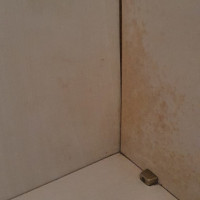 Praxisbeispiele Sachverständiger für Schimmel / Feuchte / Wasserschäden