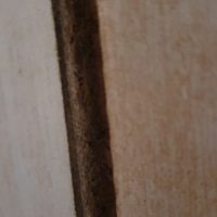 Praxisbeispiele Sachverständiger für Schimmel / Feuchte / Wasserschäden