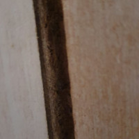 Praxisbeispiele Sachverständiger für Schimmel / Feuchte / Wasserschäden