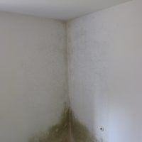 Praxisbeispiele Sachverständiger für Schimmel / Feuchte / Wasserschäden