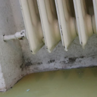 Praxisbeispiele Sachverständiger für Schimmel / Feuchte / Wasserschäden