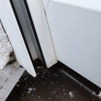 Praxisbeispiele Sachverständiger für Schimmel / Feuchte / Wasserschäden
