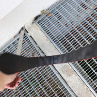 Praxisbeispiele Sachverständiger für Schimmel / Feuchte / Wasserschäden