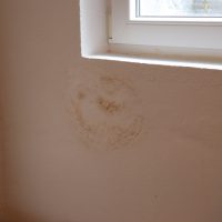 Praxisbeispiele Sachverständiger für Schimmel / Feuchte / Wasserschäden