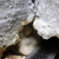 Praxisbeispiele Sachverständiger für Schimmel / Feuchte / Wasserschäden