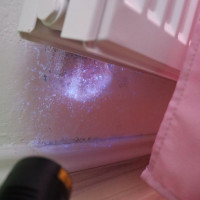 Mit der UV-Lampe Schimmelbefall entdeckt.
